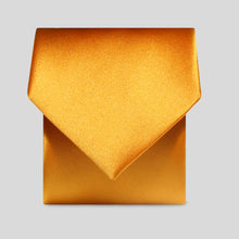Load image into Gallery viewer, Folkespeare Burnt Orange Satin Classic Tie