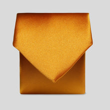 Load image into Gallery viewer, FBA Burnt Orange Satin Tie