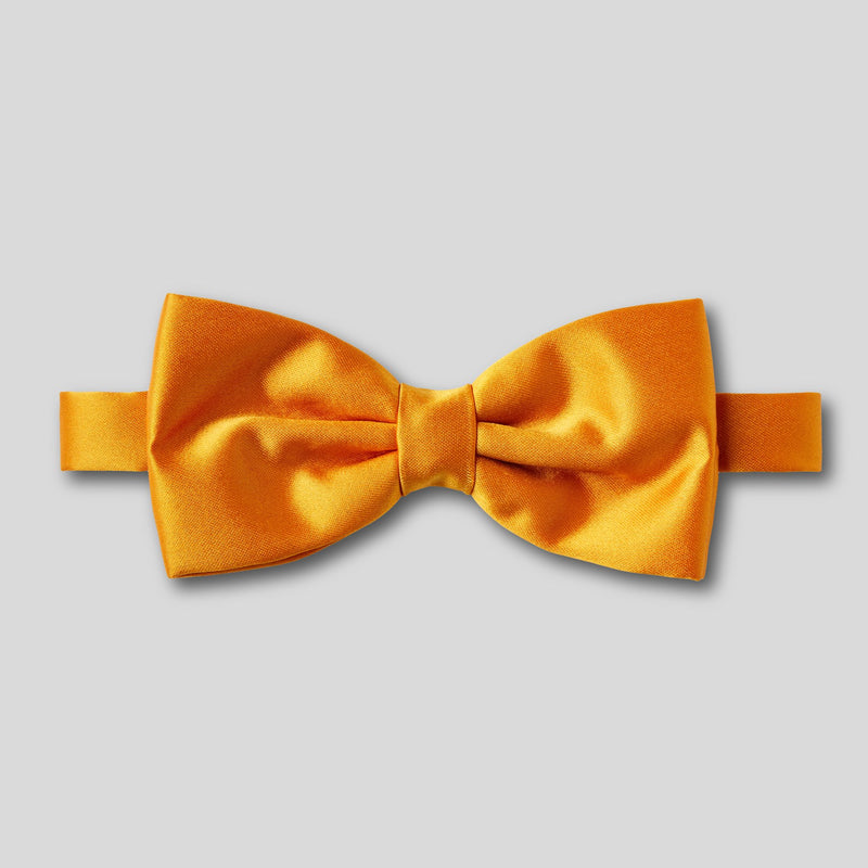 Folkespeare Burnt Orange Satin Bow Tie