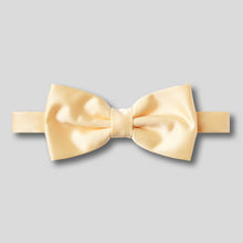 Load image into Gallery viewer, Folkespeare Lemon Satin Classic Bow Tie
