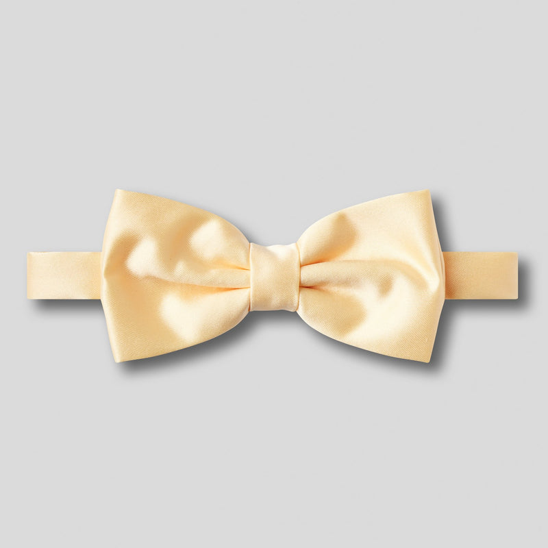 Folkespeare Lemon Satin Bow Tie