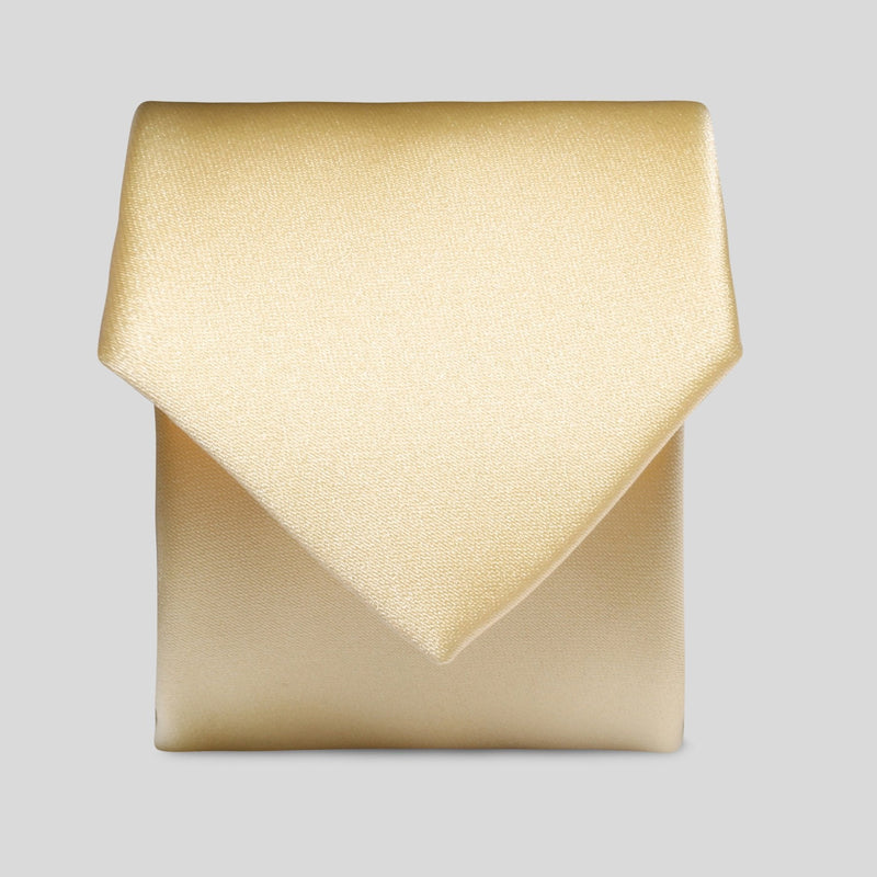 FBA Boys Lemon Satin Tie