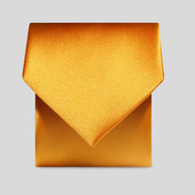 Load image into Gallery viewer, FBA Burnt Orange Satin Tie
