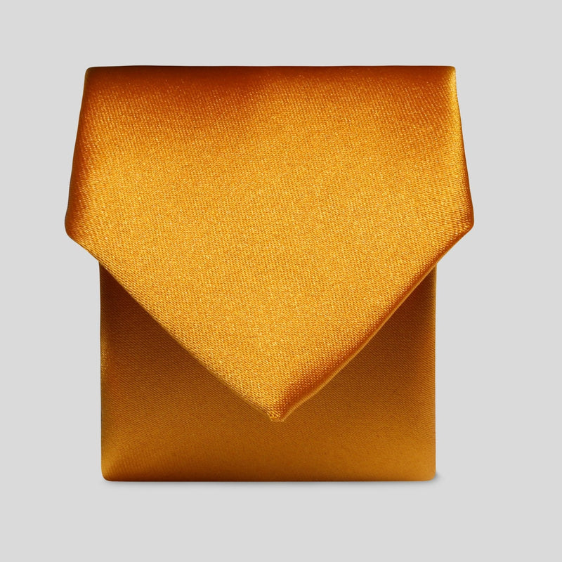 FBA Burnt Orange Satin Tie